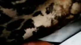 Bắt phim sexy vn đầu ...