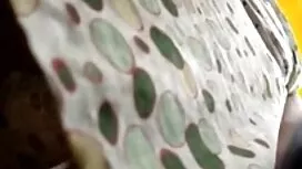 Học sinh cho thấy cô ...