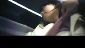 thất thường của Séc  ...