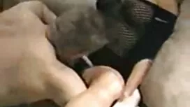 Vẻ đẹp trong bị cháy ...