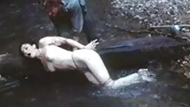 Chó phim se xy việt  ...